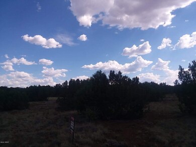 LOT G Powells Ln, Show Low, AZ 85901 - photo 4