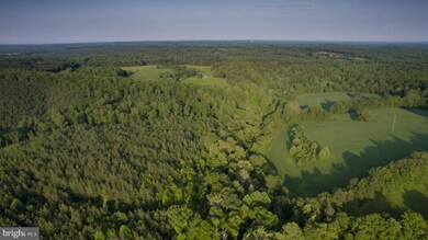 14334 Cooper Ln, Unionville, VA 22567 - photo 7