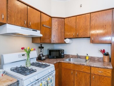 Sutherland Village unit 3, Brighton, MA 02135 - photo 2