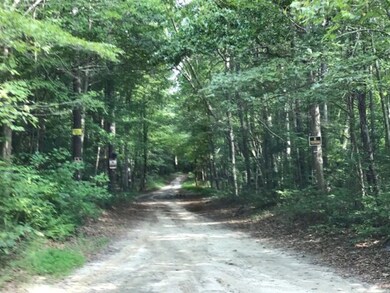 0 Pinewood Ln unit 50, Wattsville, VA 23337 - photo 3