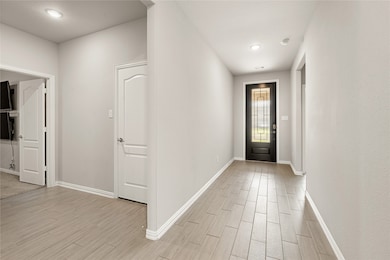 Another View of the entrance and modern door.