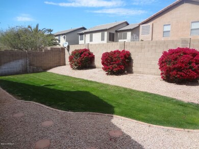 Nicely Landscaped Rear Yard With Grass