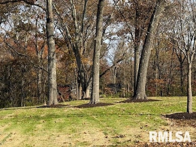 16429 N Hawthorne Hills Dr, Mount Vernon, IL 62864 - photo 3