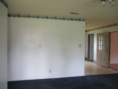 303 Dogwood Ave, Donalsonville, GA 39845 - photo 4