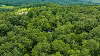 61342 High Hill Rd, Cambridge, OH 43725 - photo 7