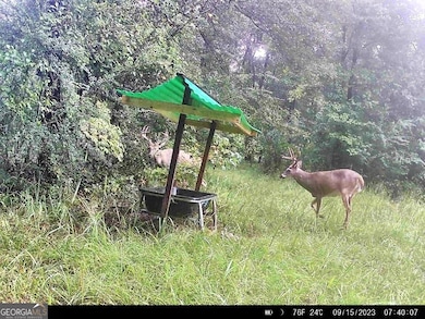 0 River Ln unit 10577862, Juliette, GA 31046 - photo 5