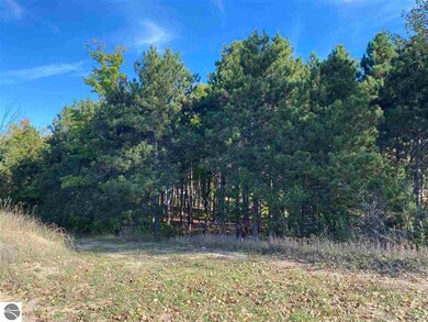 00 E Harrys Rd, Traverse City, MI 49684 - photo 6