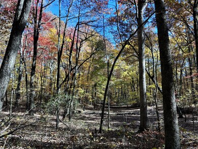 0 Harrison Ferry Rd unit RTC2813087, McMinnville, TN 37110 - photo 3