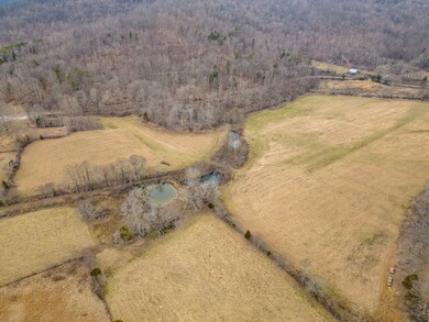 137 AC Round Cove Rd, Sparta, TN 38583 - photo 4