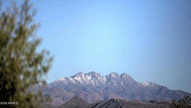 IMG_0904