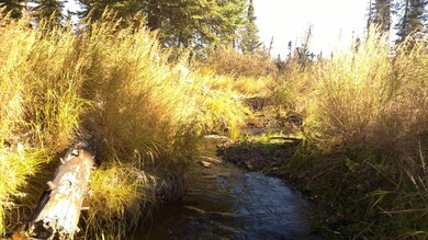 CREEK