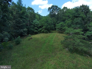 276 Cullers Run Rd, Mathias, WV 26812 - photo 6