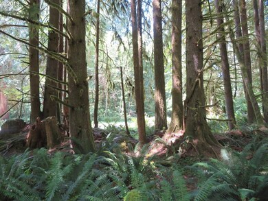 0 Deer Park Ln unit 20 19039654, Toledo, WA 98591 - photo 6