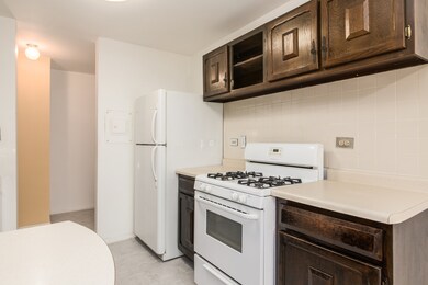 2628 N Windsor Dr unit 101, Arlington Heights, IL 60004 - photo 4