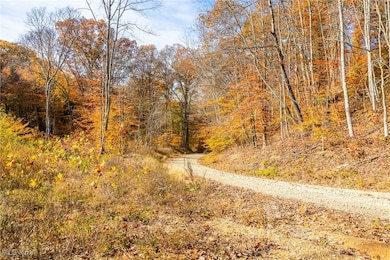 0 Hambel Rd, Union Township, OH 43758 - photo 6
