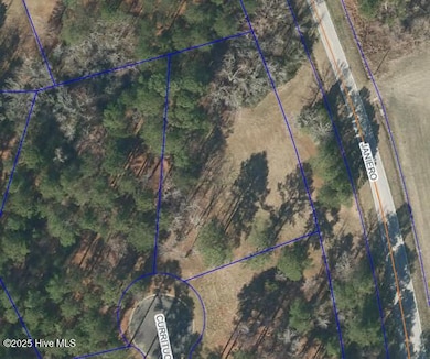 62 Currituck, Oriental, NC 28571 - photo 3