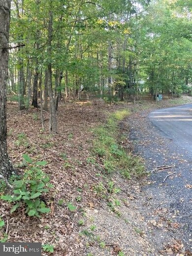 0 Nelson Way unit VASH2001076, Basye, VA 22810 - photo 7