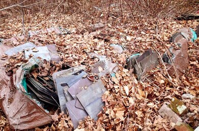 1730 Kittridge Pasture Rd, Reading, VT 05062 - photo 7