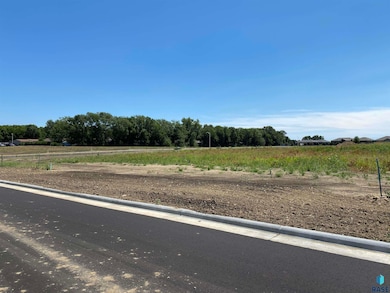 0 Lot 12 Blk 2 Kemper St, Viborg, SD 57070 - photo 4