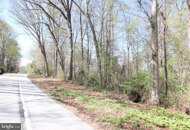 0 Fairlee Rd, Chestertown, MD 21620 - photo 6