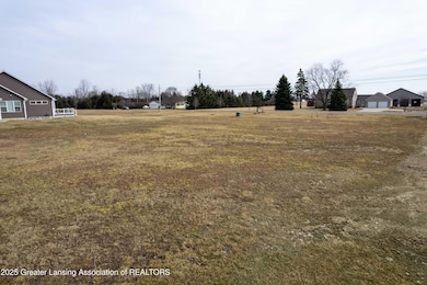 Lot 8 N Wright Rd, Fowler, MI 48835 - photo 7