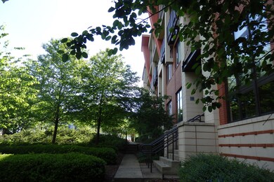 P5023199