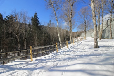22 Emerson Way unit B1, Waterville Valley, NH 03215 - photo 5