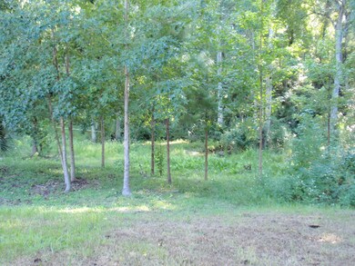 Backyard with a creek