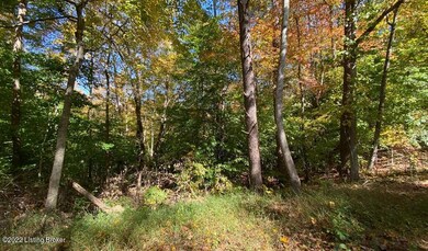 River View Fall173