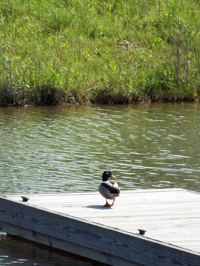 3 Somerset Dr unit LOT 3, Madison, MS 39110 - photo 4