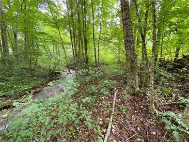 0000 Fox Creek Rd, Mars Hill, NC 28754 - photo 2