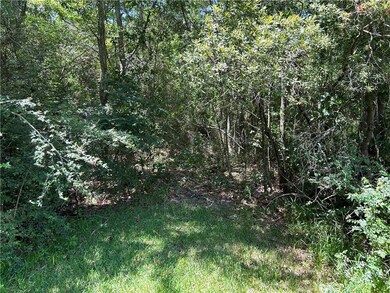 View of local wilderness