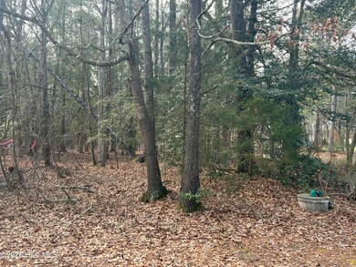 0 Bridgersville Rd unit 100485871, MacClesfield, NC 27852 - photo 3