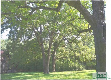 876 Old Tusculum Rd unit Parcel 2, Springfield, GA 31329 - photo 3