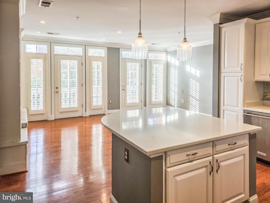 Abingdon Row Condominium unit 302, Alexandria, VA 22314 - photo 5