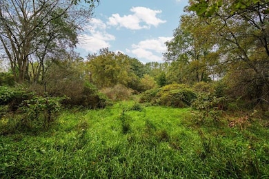 20241002221235415104000000-o