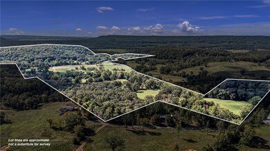 13610 Sr 105 N, Hector, AR 72843 - photo 4