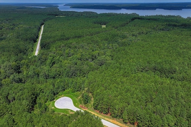 1210 Edge Ln, Tignall, GA 30668 - photo 7