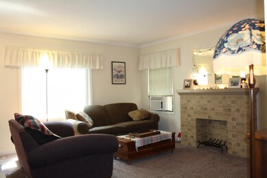Decor Only Fireplacce