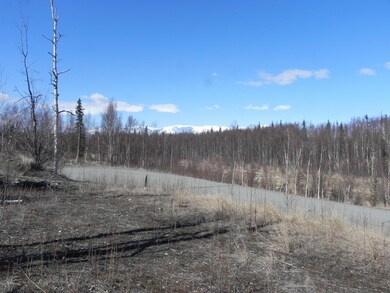 View From Lot 1