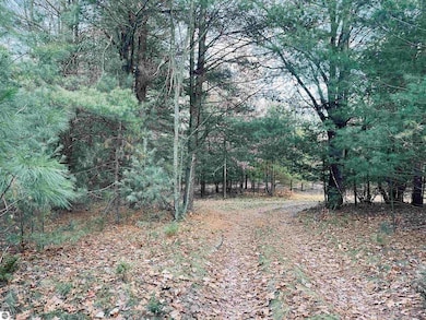 00 Bunker Hill Rd, Williamsburg, MI 49690 - photo 7