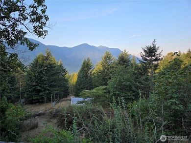 unlisted-address, Brinnon, WA 98320 - photo 5