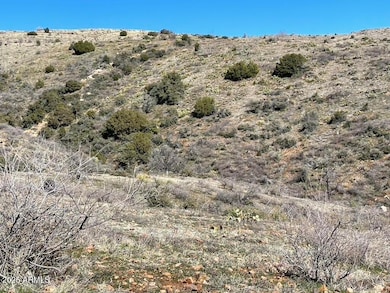 Horseshoe Springs 26