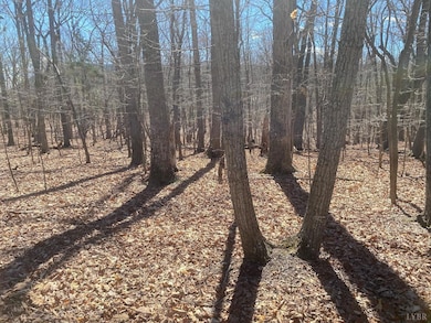 17 Saunders Point Rd, Huddleston, VA 24104 - photo 4