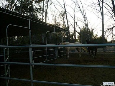 Horse area