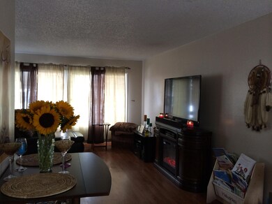 4885 Nipomo Dr, Carpinteria, CA 93013 - photo 3