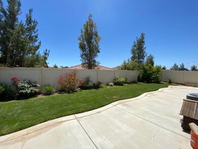 Begonia_1449 Back yard 2