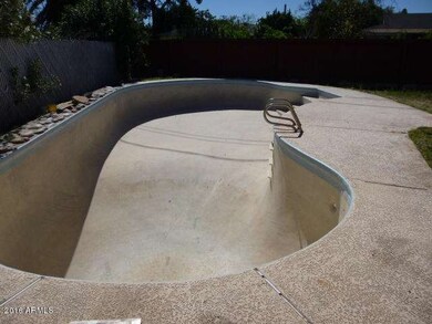 BACKYARD (6)