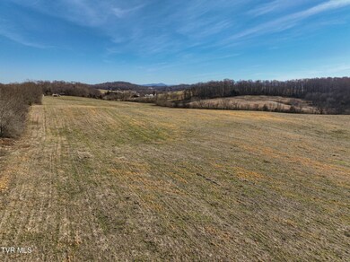 Tbd Old State Route 34, Limestone, TN 37681 - photo 7