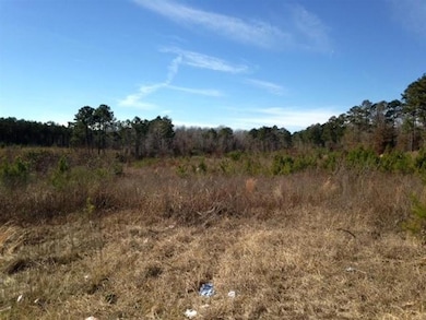 TBD Section Line Rd, Leesville, LA 71446 - photo 6